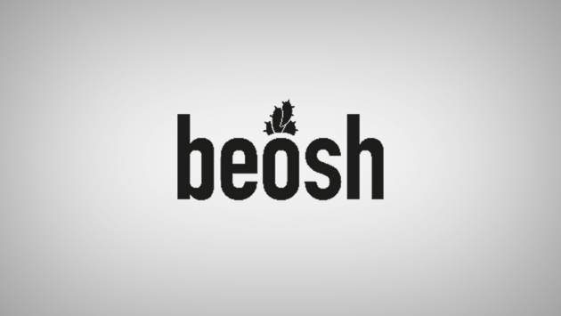 Start-up beosh